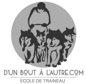 dunboutalautre-chien-de-traineau-partenaire-laguienette