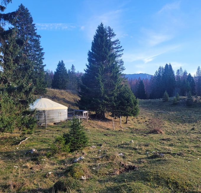 Hébergement insolite - Véritable et authentique yourte mongole Auberge LaGuienette Haut-Jura à Bellecombe
