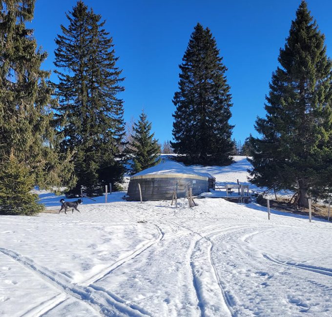 Hébergement insolite - Véritable et authentique yourte mongole Auberge LaGuienette Haut-Jura à Bellecombe