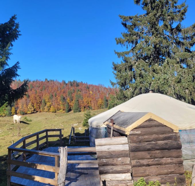 Hébergement insolite - Véritable et authentique yourte mongole Auberge LaGuienette Haut-Jura à Bellecombe